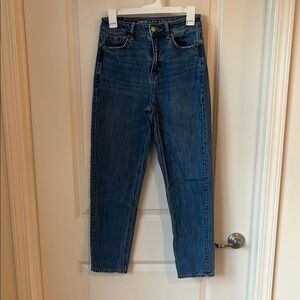 American Eagle Outfitters Women's Blue Jeans- Mom straight jean